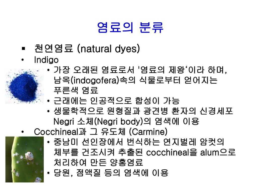 염료의 분류 천연염료 (natural dyes) Indigo