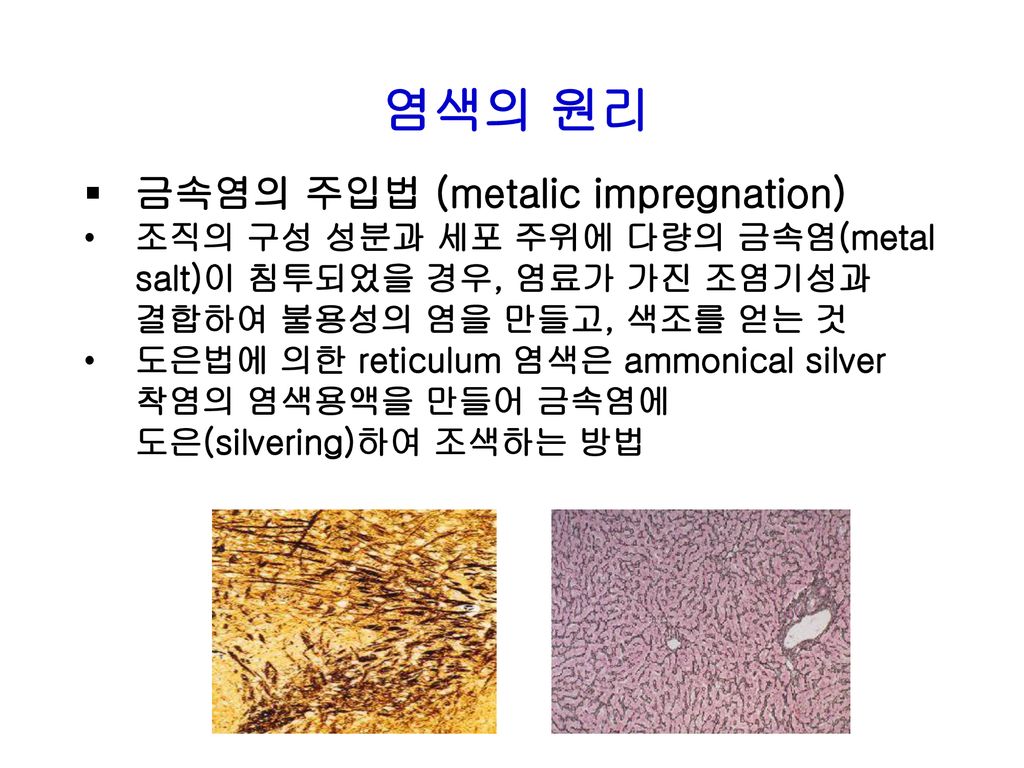 염색의 원리 금속염의 주입법 (metalic impregnation)