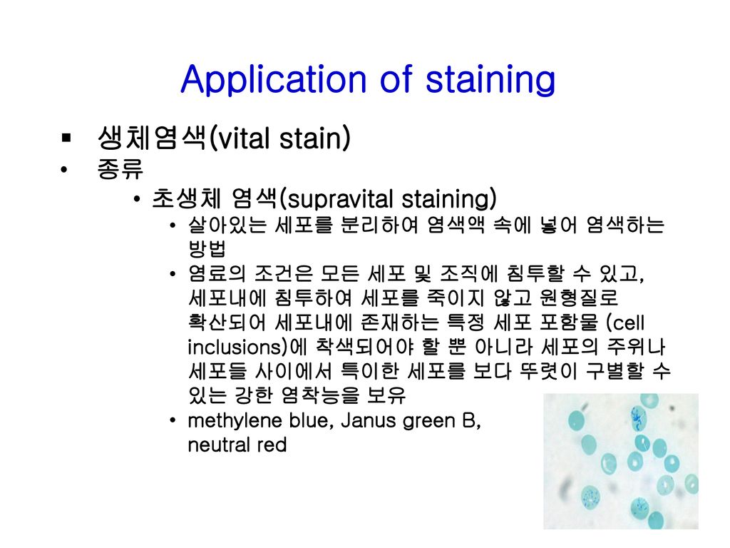 Application of staining
