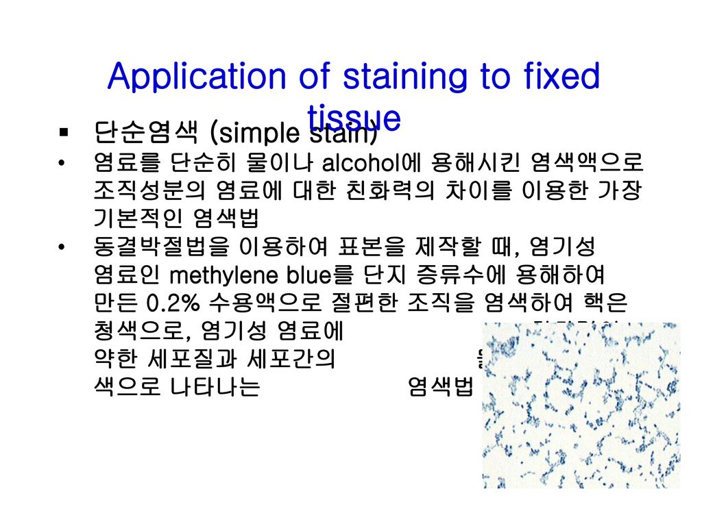 Application of staining to fixed tissue