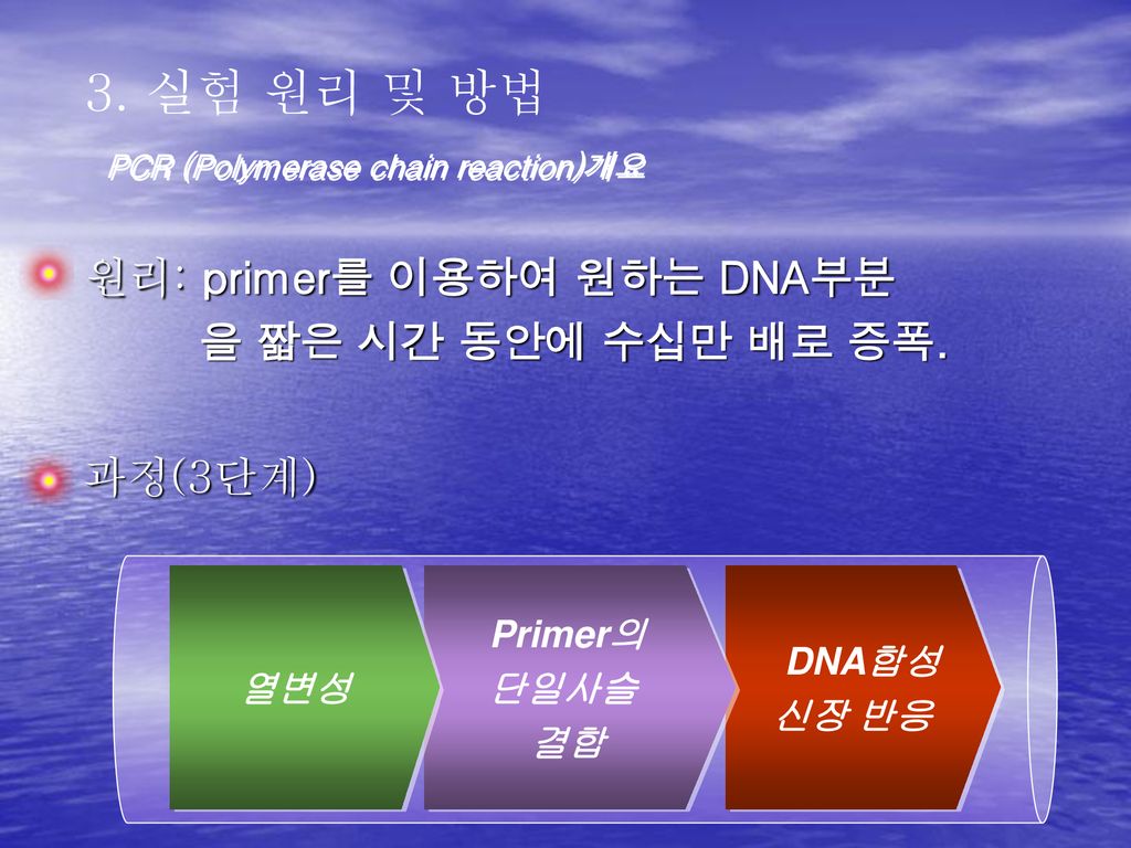 원리: primer를 이용하여 원하는 DNA부분