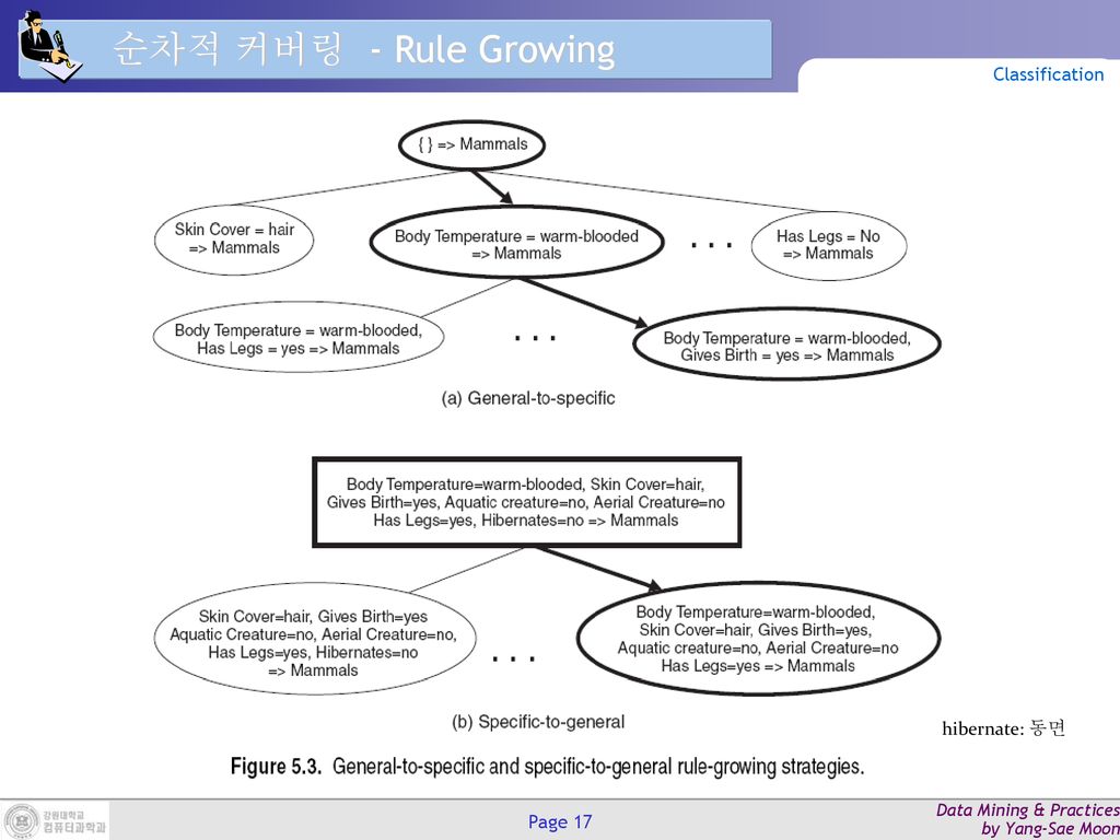 순차적 커버링 - Rule Growing Classification hibernate: 동면