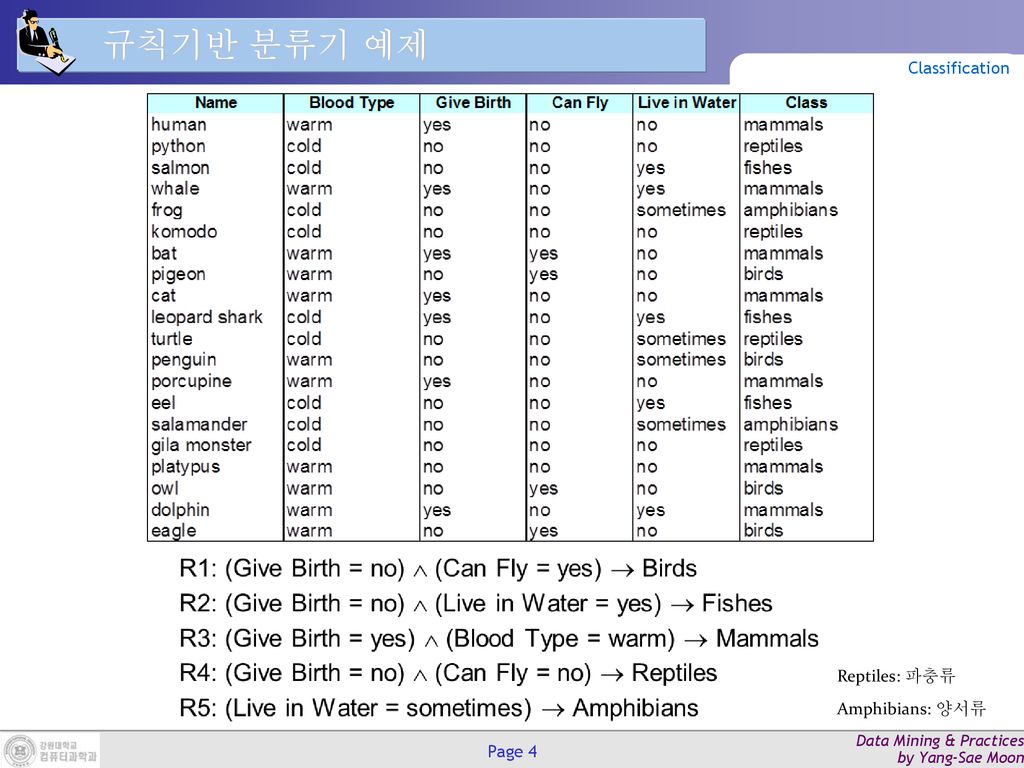 규칙기반 분류기 예제 Classification Reptiles: 파충류 Amphibians: 양서류
