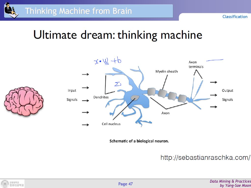 Thinking Machine from Brain