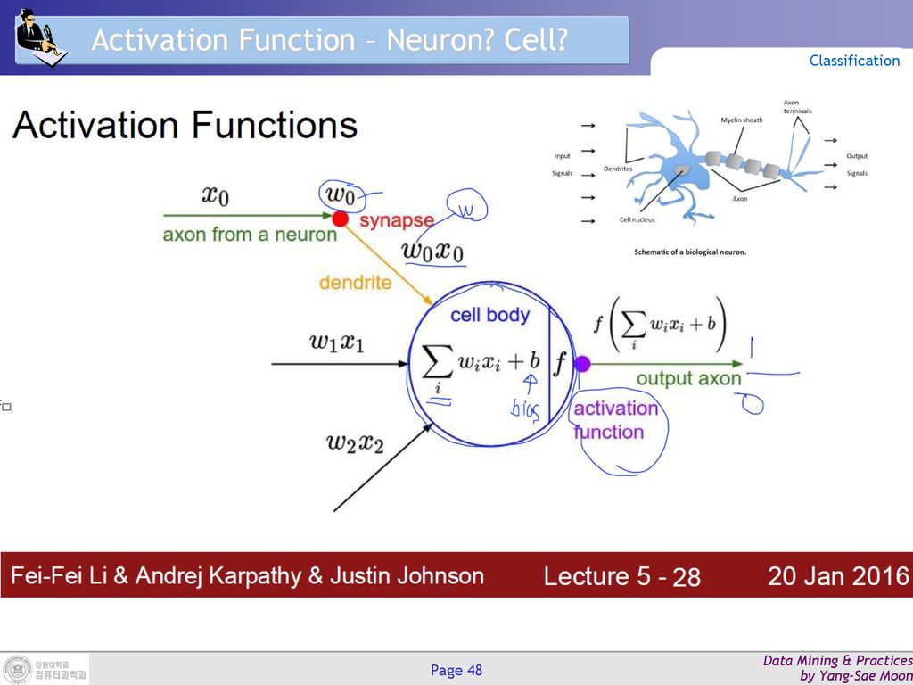 Activation Function – Neuron Cell