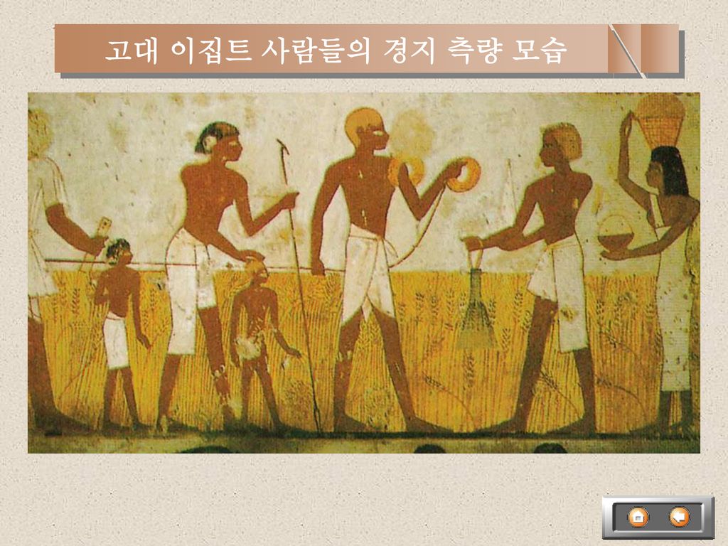 고대 이집트 사람들의 경지 측량 모습 고대 이집트 사람들의 경지 측량 모습(룩소르의 무덤 벽화)