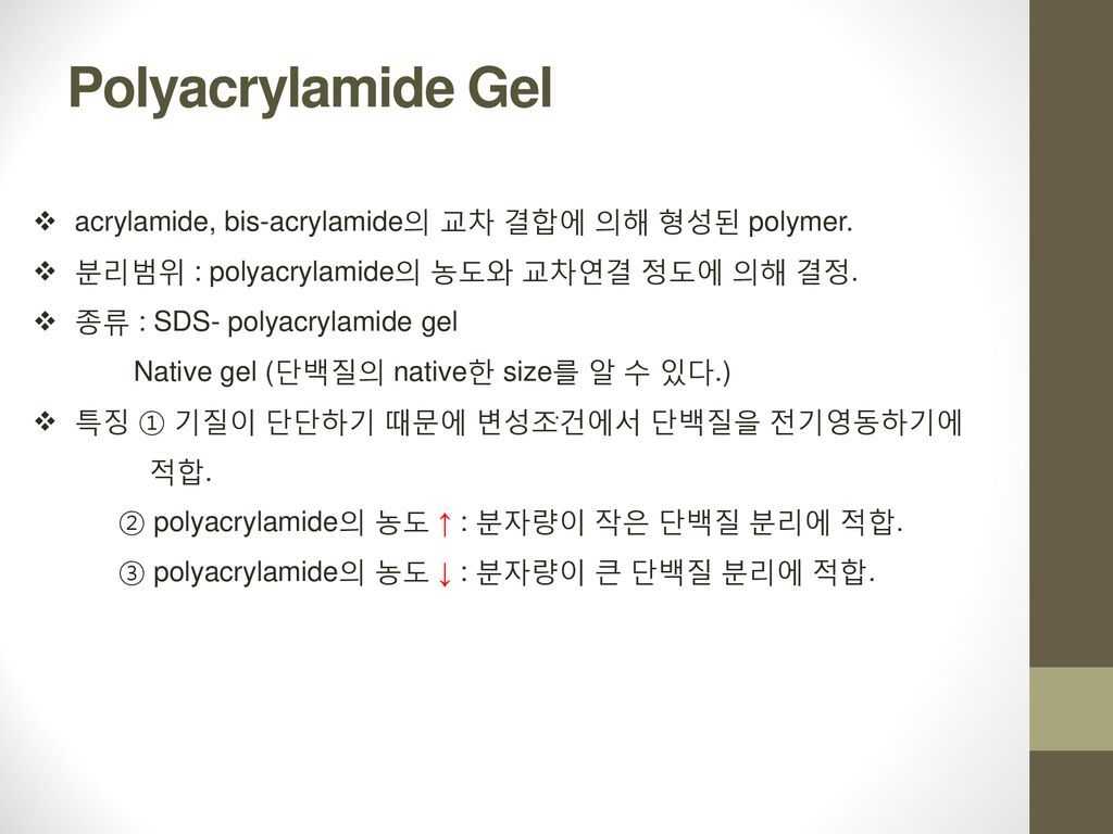 Polyacrylamide Gel acrylamide, bis-acrylamide의 교차 결합에 의해 형성된 polymer.