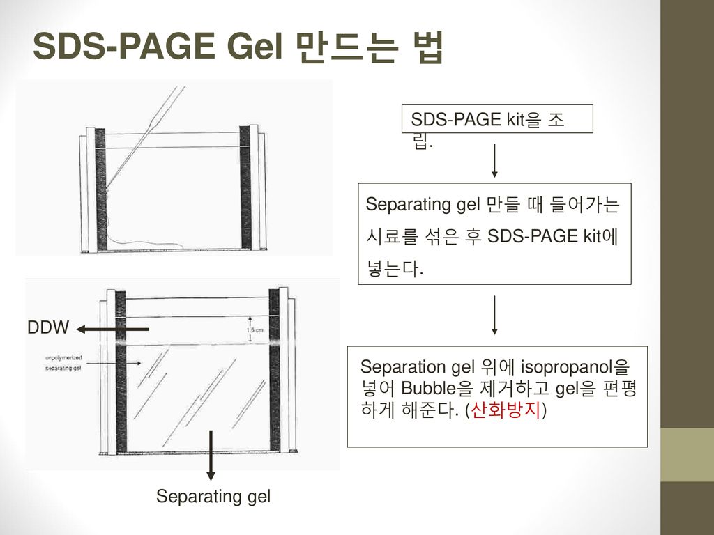 SDS-PAGE Gel 만드는 법 SDS-PAGE kit을 조립. Separating gel 만들 때 들어가는