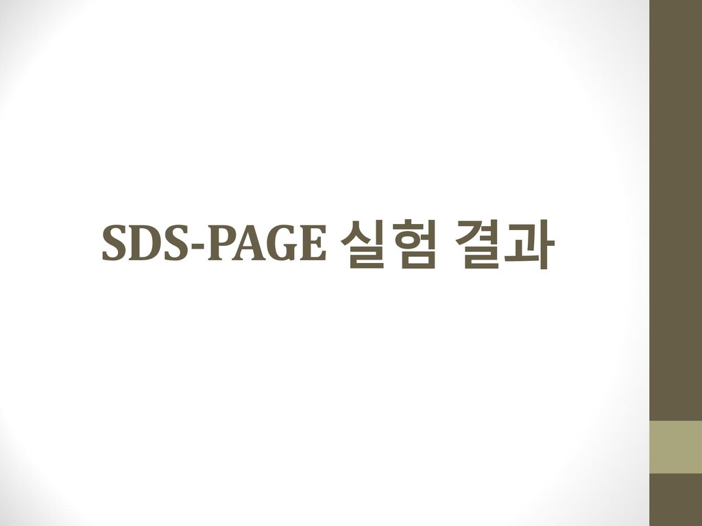SDS-PAGE 실험 결과