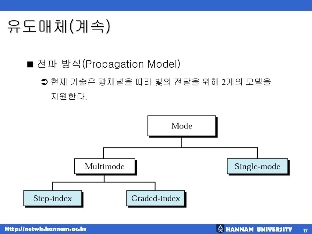 유도매체(계속) 전파 방식(Propagation Model)