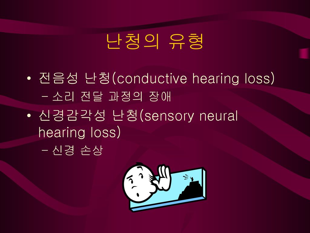 난청의 유형 전음성 난청(conductive hearing loss)