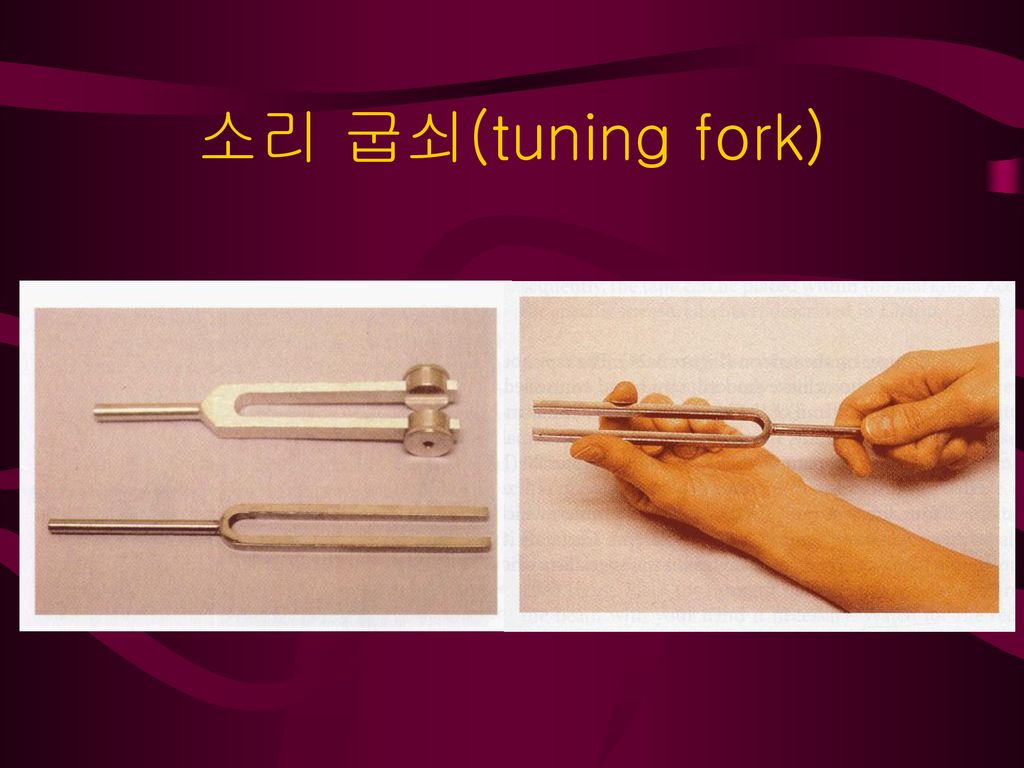 소리 굽쇠(tuning fork)