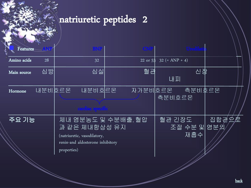 natriuretic peptides 2  Features ANP BNP CNP Urodilatin
