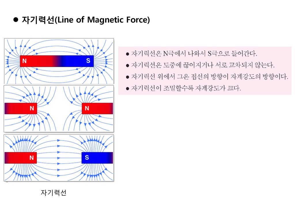 자기력선(Line of Magnetic Force)
