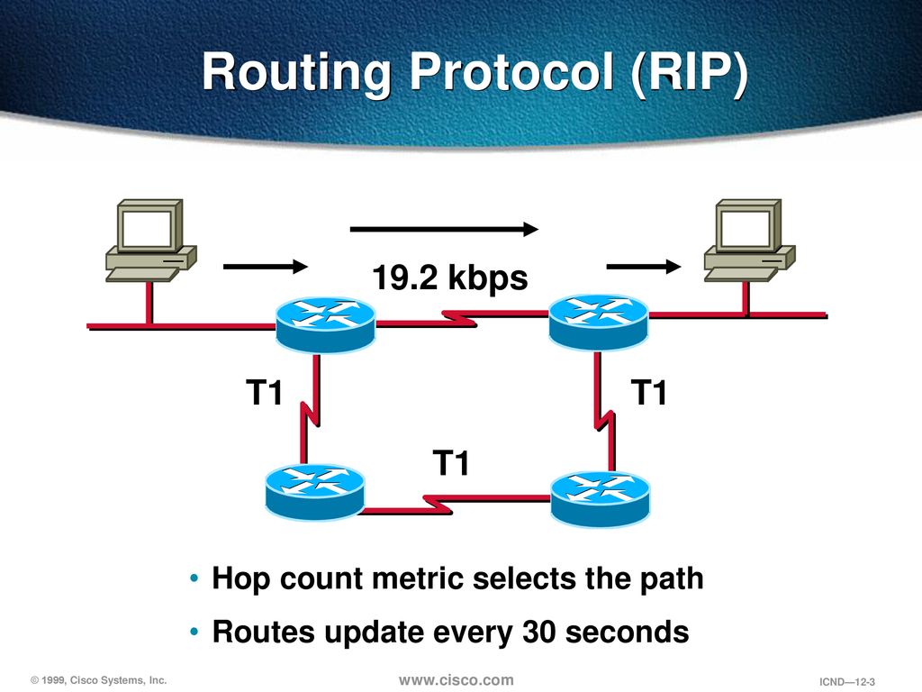 Опишите схему работы протокола rip