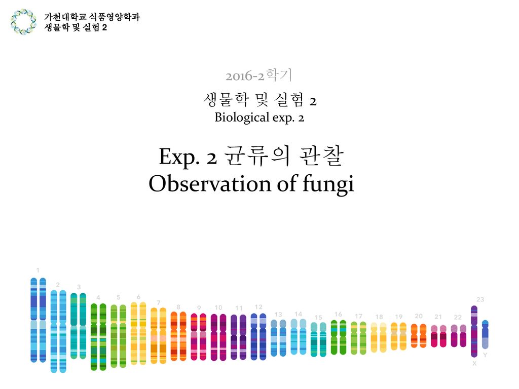 Exp. 2 균류의 관찰 Observation of fungi