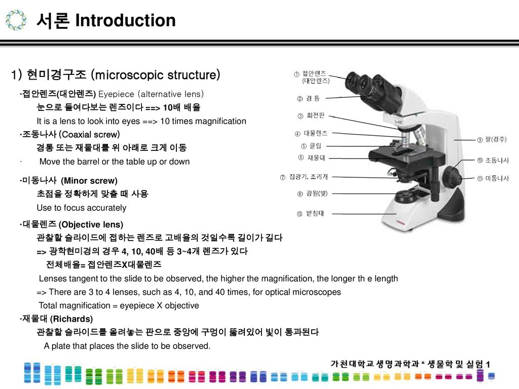 서론 Introduction 1) 현미경구조 (microscopic structure)