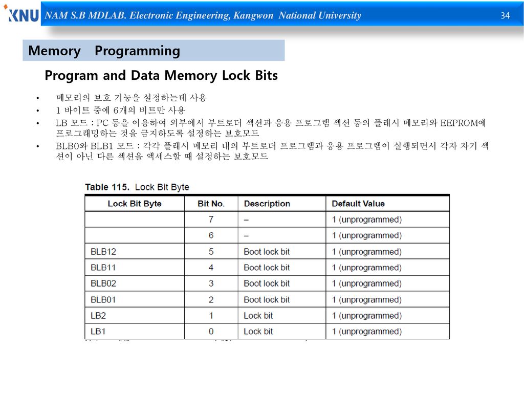 Program and Data Memory Lock Bits
