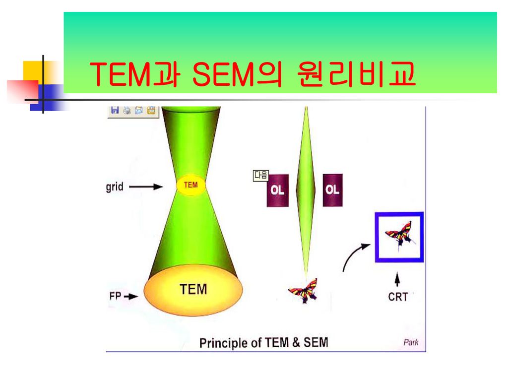 TEM과 SEM의 원리비교