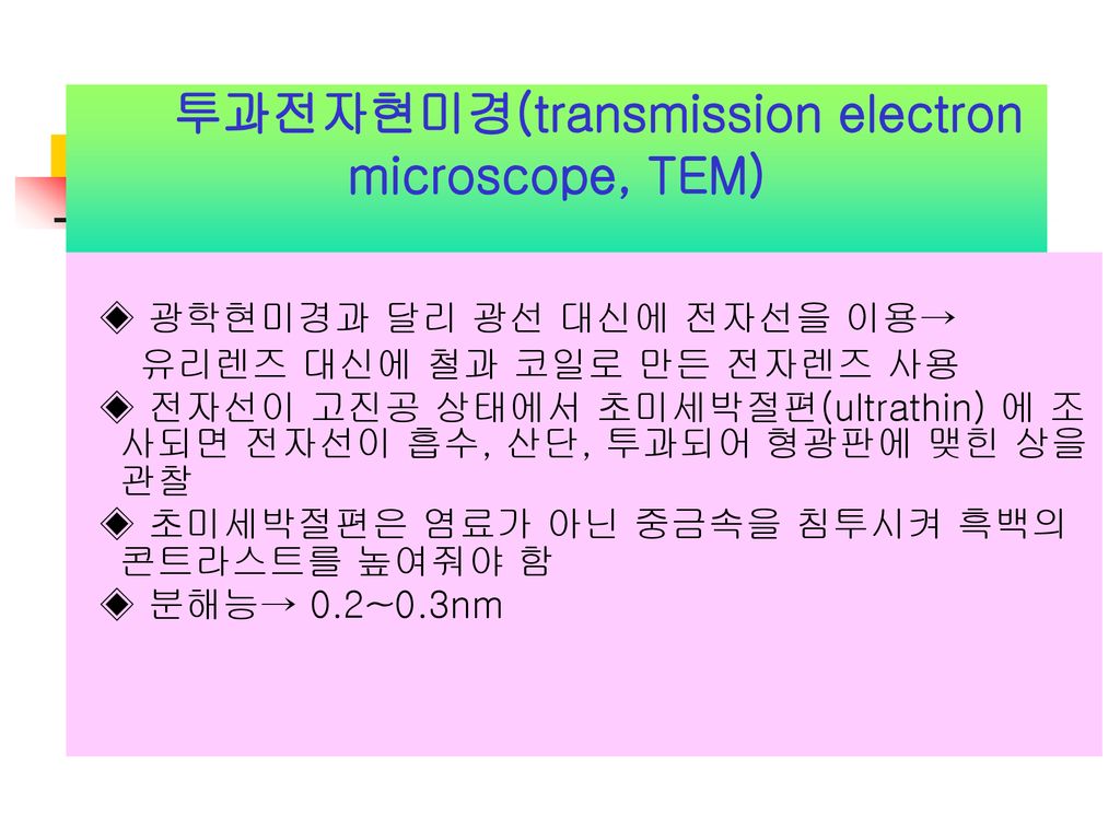 투과전자현미경(transmission electron microscope, TEM)