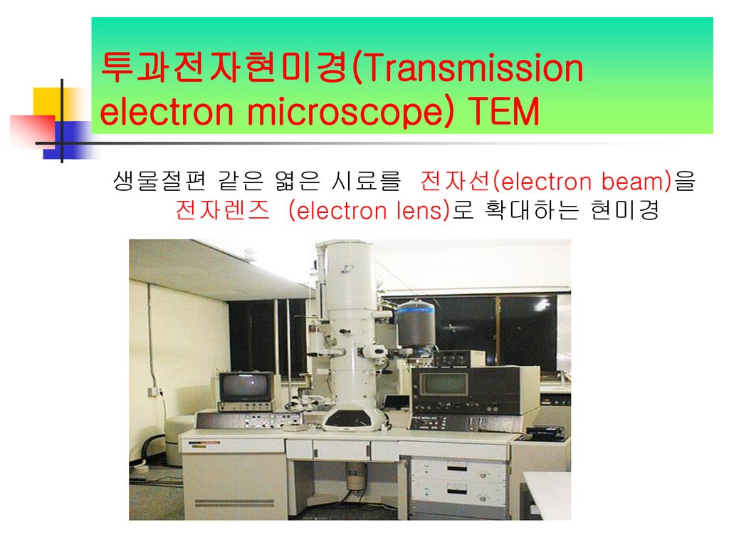 투과전자현미경(Transmission electron microscope) TEM