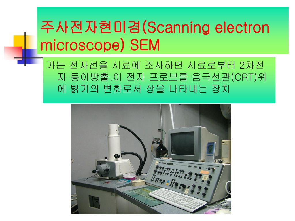 주사전자현미경(Scanning electron microscope) SEM