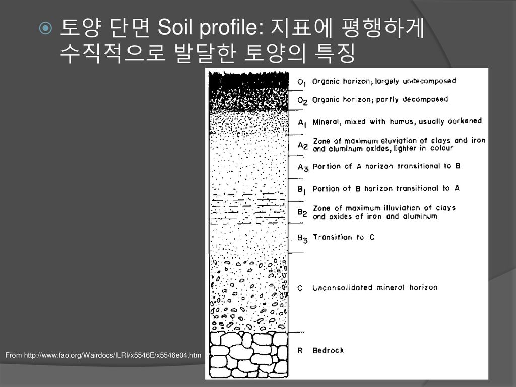 토양 단면 Soil profile: 지표에 평행하게 수직적으로 발달한 토양의 특징
