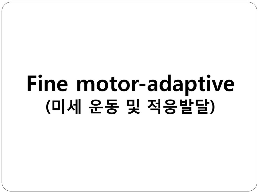 Fine motor-adaptive (미세 운동 및 적응발달)
