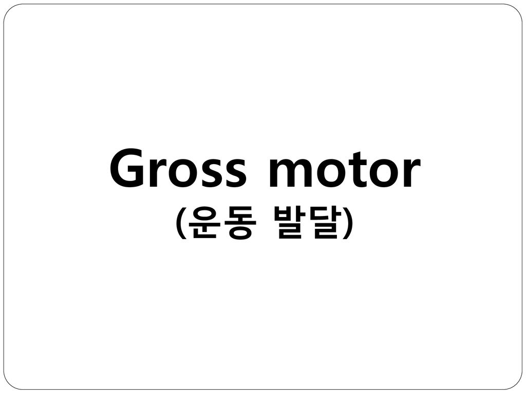 Gross motor (운동 발달)