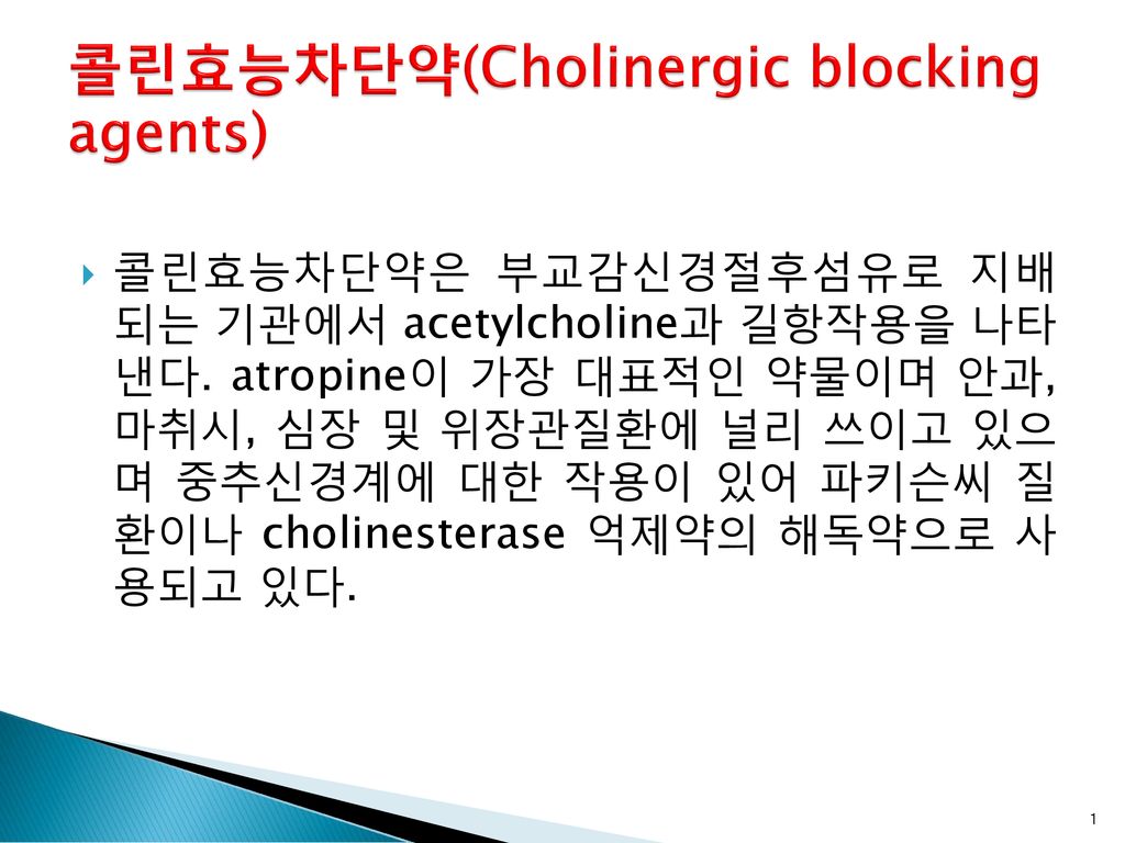 콜린효능차단약(Cholinergic blocking agents)