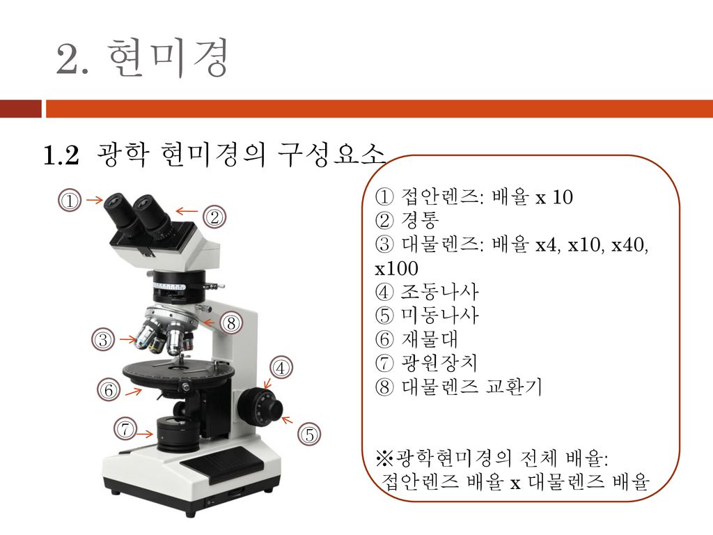 현미경 사용법 광학 광학현미경의 용도와