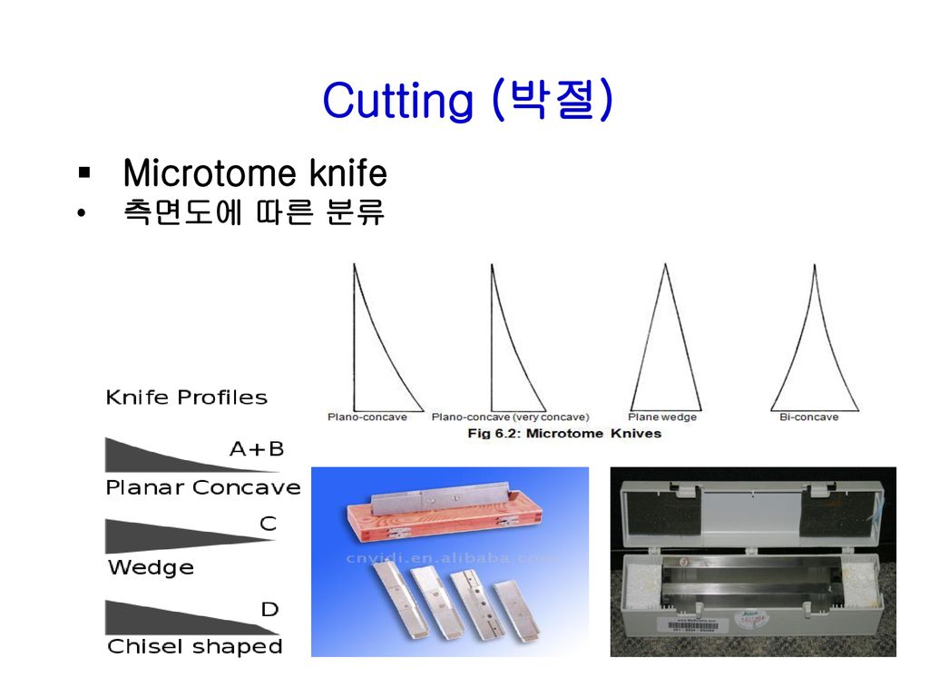 Microtome knife 측면도에 따른 분류 Cutting (박절)