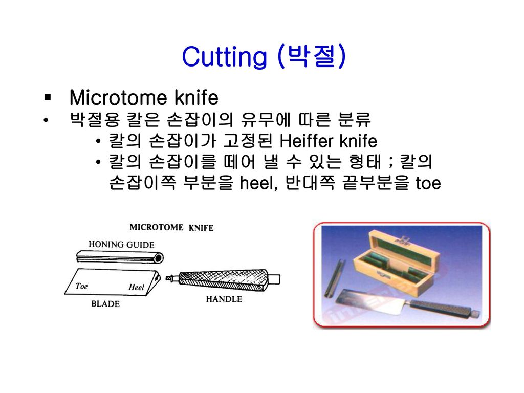 Cutting (박절) Microtome knife 박절용 칼은 손잡이의 유무에 따른 분류