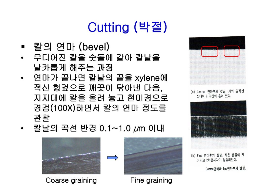 Cutting (박절) 칼의 연마 (bevel) 무디어진 칼을 숫돌에 갈아 칼날을 날카롭게 해주는 과정