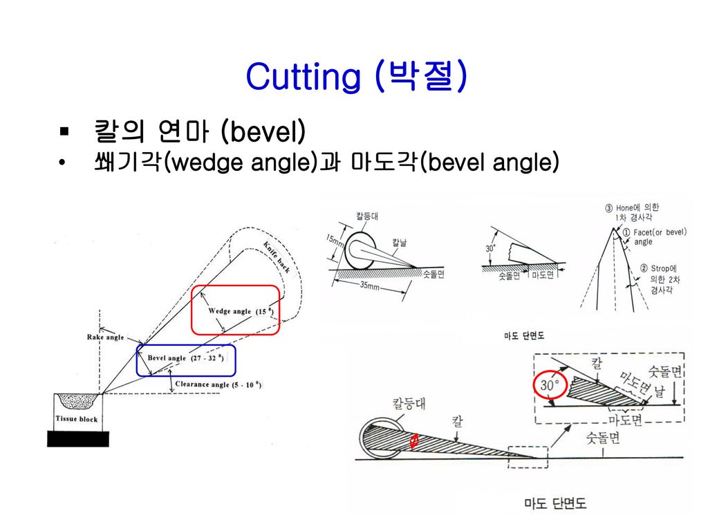 칼의 연마 (bevel) 쐐기각(wedge angle)과 마도각(bevel angle) Cutting (박절)