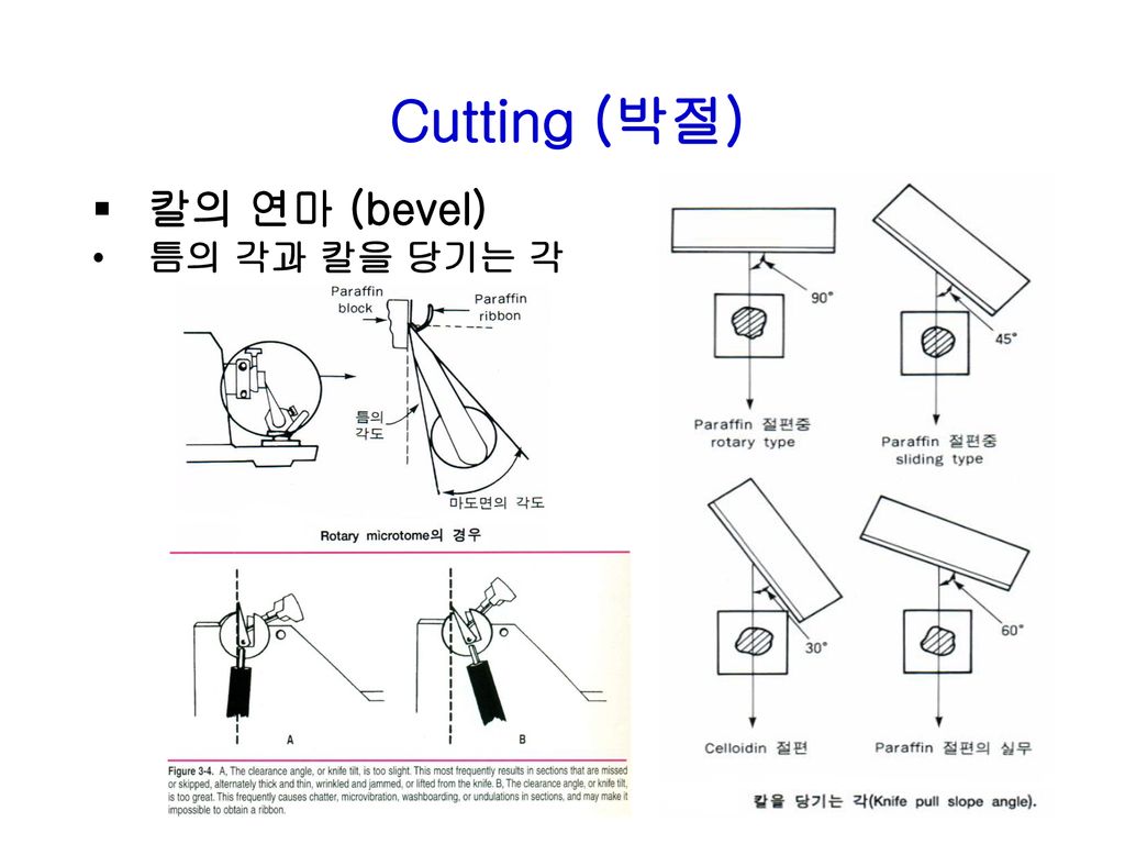 칼의 연마 (bevel) 틈의 각과 칼을 당기는 각 Cutting (박절)