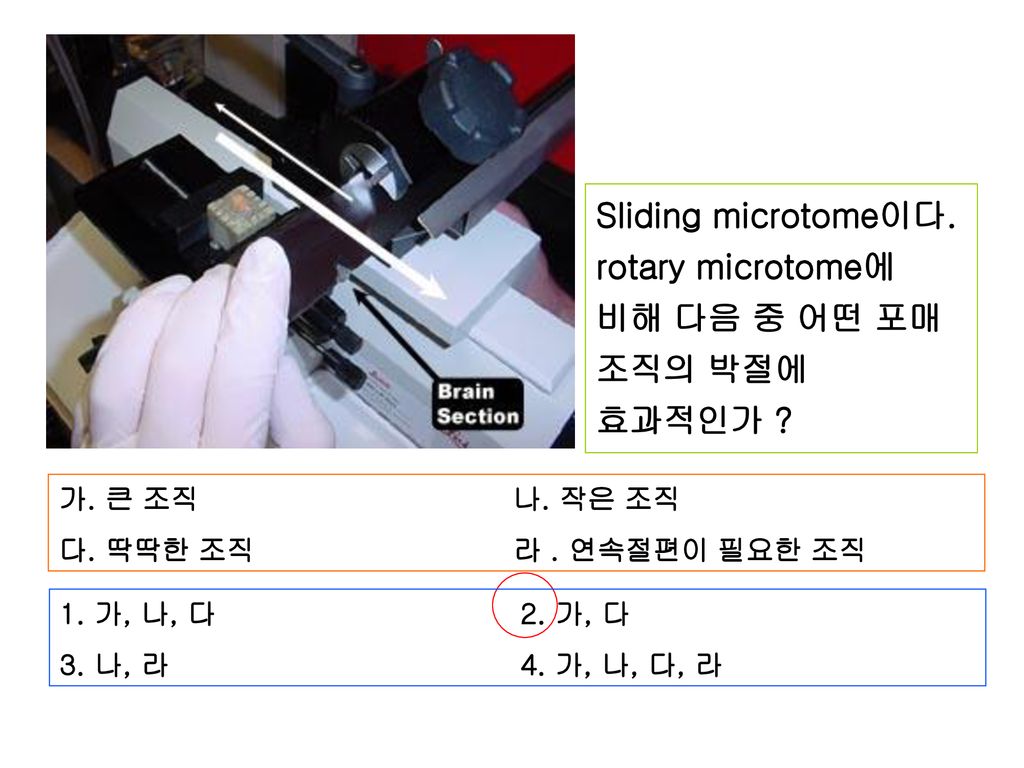 Sliding microtome이다. rotary microtome에 비해 다음 중 어떤 포매 조직의 박절에 효과적인가