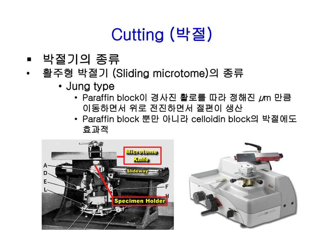 Cutting (박절) 박절기의 종류 활주형 박절기 (Sliding microtome)의 종류 Jung type