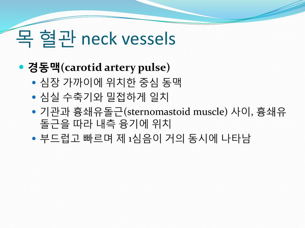 목 혈관 neck vessels 경동맥(carotid artery pulse) 심장 가까이에 위치한 중심 동맥