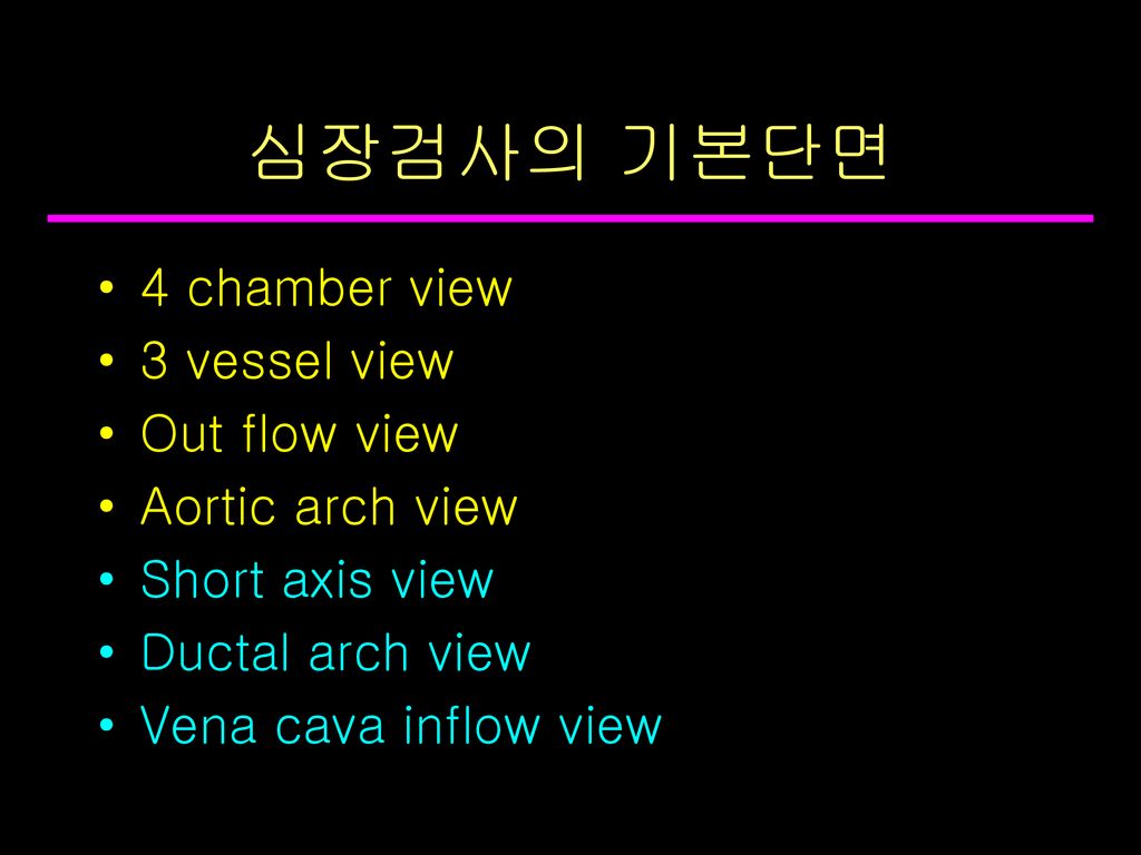 심장검사의 기본단면 4 chamber view 3 vessel view Out flow view Aortic arch view