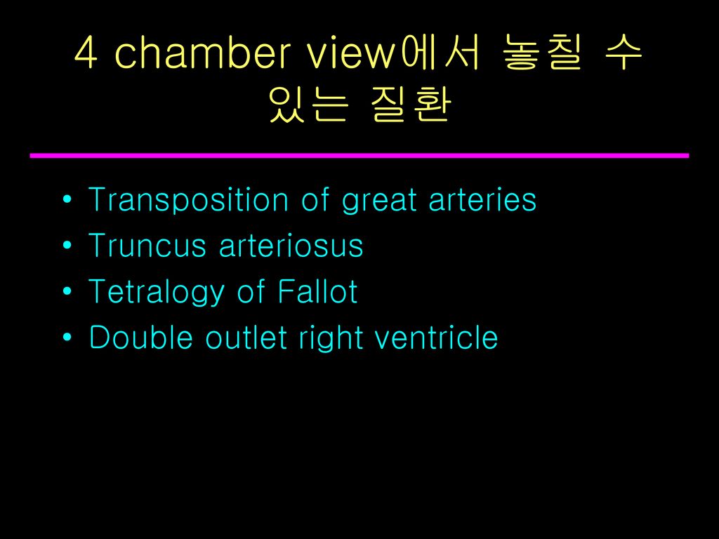 4 chamber view에서 놓칠 수 있는 질환