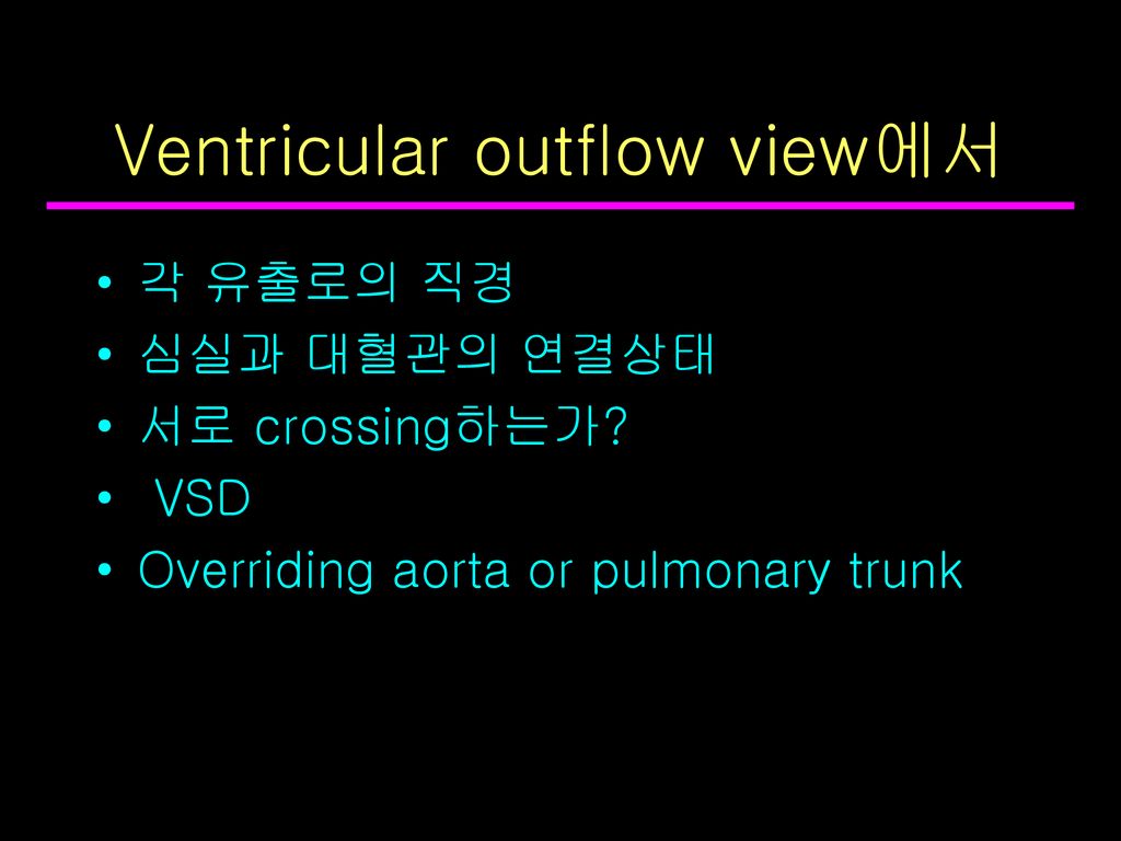 Ventricular outflow view에서