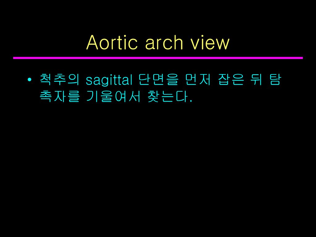 Aortic arch view 척추의 sagittal 단면을 먼저 잡은 뒤 탐촉자를 기울여서 찾는다.