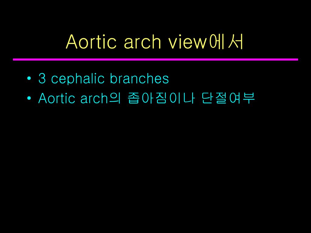 Aortic arch view에서 3 cephalic branches Aortic arch의 좁아짐이나 단절여부