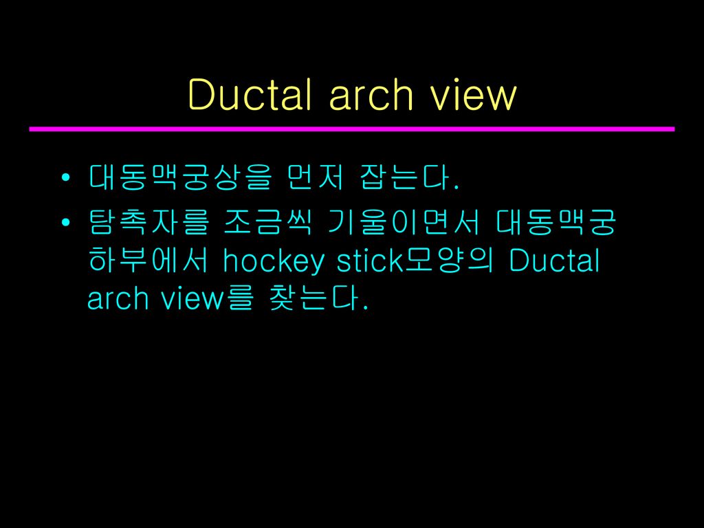 Ductal arch view 대동맥궁상을 먼저 잡는다.