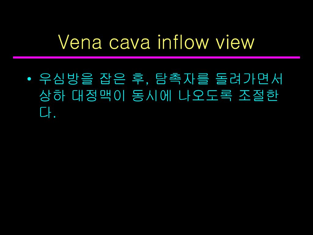 Vena cava inflow view 우심방을 잡은 후, 탐촉자를 돌려가면서 상하 대정맥이 동시에 나오도록 조절한다.