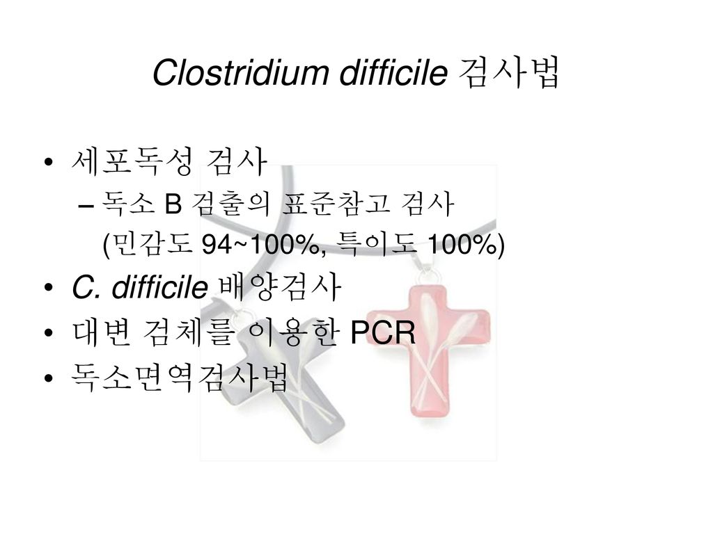 Clostridium difficile 검사법