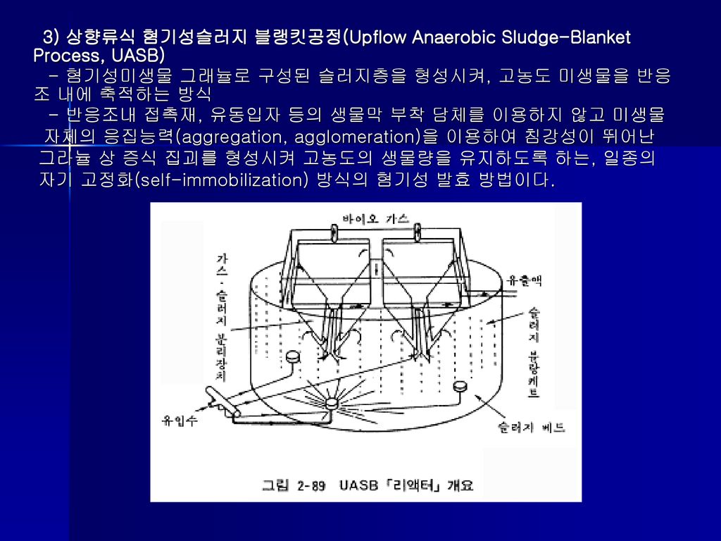 3) 상향류식 혐기성슬러지 블랭킷공정(Upflow Anaerobic Sludge-Blanket Process, UASB)