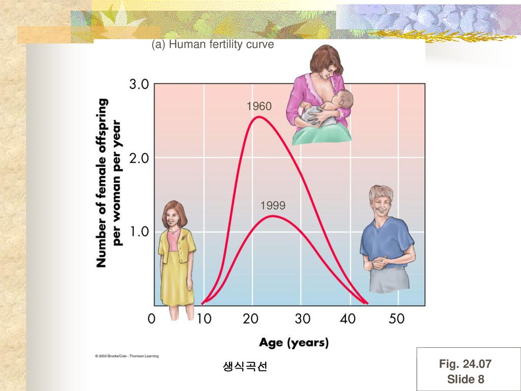 (a) Human fertility curve