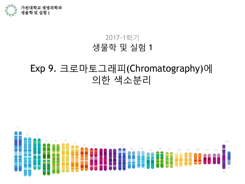 Exp 9. 크로마토그래피(Chromatography)에